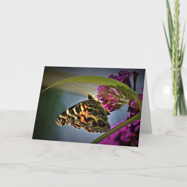 Papillon, carte (Devant)