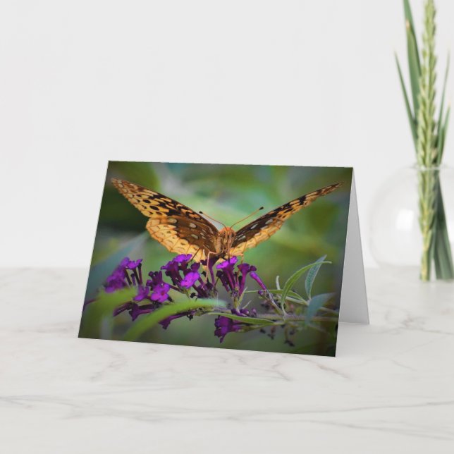 Papillon, carte (Devant)