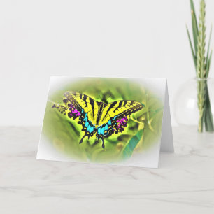 Papillon, carte