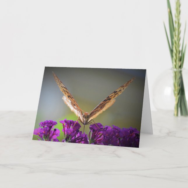 Papillon, carte (Devant)