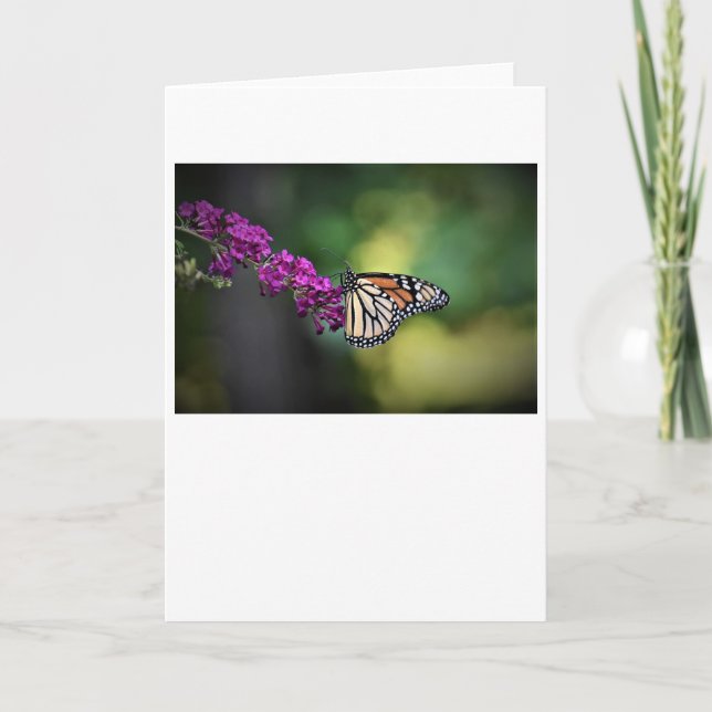 Papillon, carte (Devant)