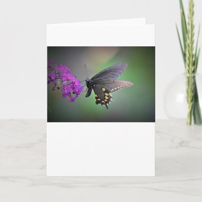 Papillon, carte (Devant)
