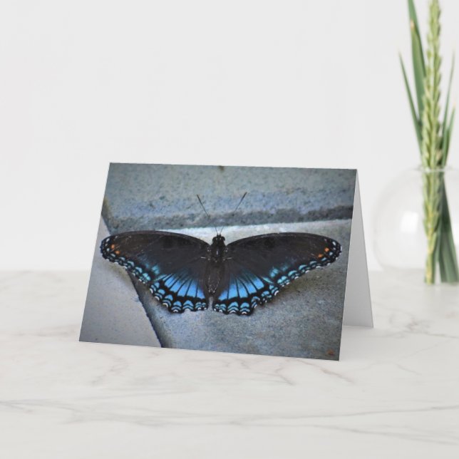 Papillon, carte (Devant)