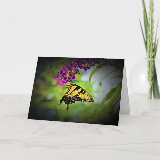 Papillon, carte (Devant)