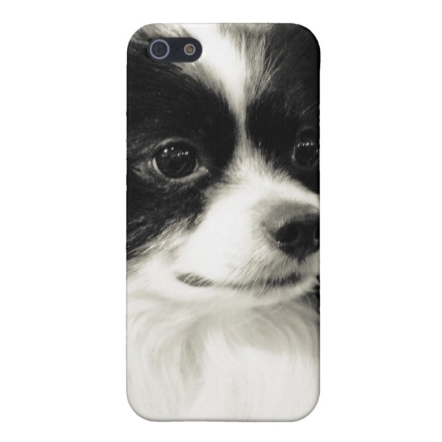 papillon case (Back)