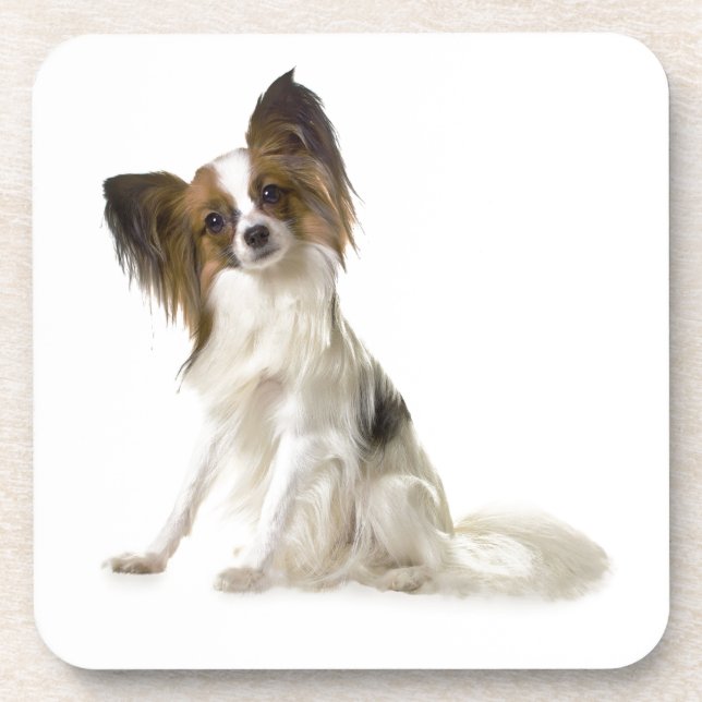 Papillon Coaster (Front)