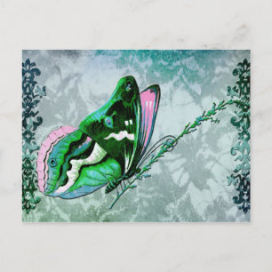 PAPILLON COLORÉ in TEAL BLUE, GREEN and PINK Postcard