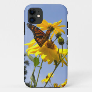 Papillon dans le coque Sky iPhone 5