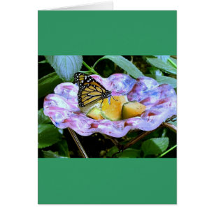 Papillon de dessin