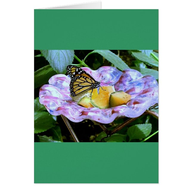 Papillon de dessin (Devant)