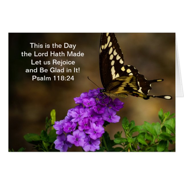 Papillon de machaon (Devant horizontal)