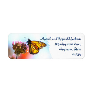 Papillon de monarque rougeoyant sur la fleur