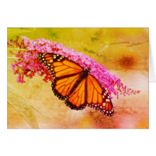 Papillon de monarque sur le buddleia