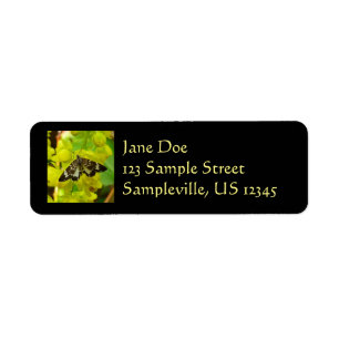 Papillon de Redwood et fleurs sauvages de raisin d