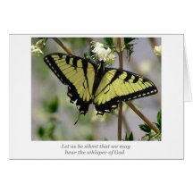 Papillon de Whisper