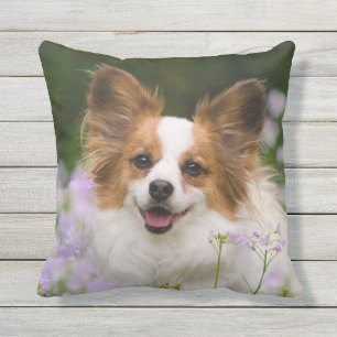 Papillon Dog Cute Romantic Portrait - for Outside Throw Pillow