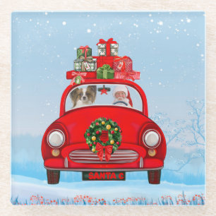 Papillon Dog In Car With Santa Claus  Glass Coaster