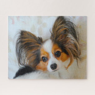 Papillon Dog. Jigsaw Puzzle