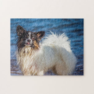 Papillon Dog. Jigsaw Puzzle