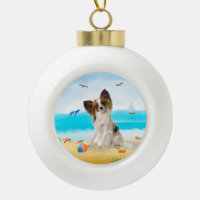 papillon Dog on Beach 