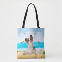 Papillon Dog on Beach