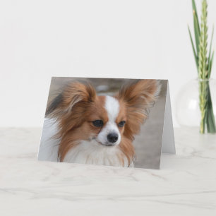 Papillon Dog Portrait Card