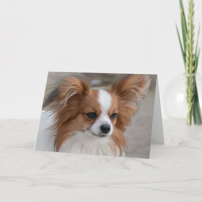 Papillon Dog Portrait Card (Front)