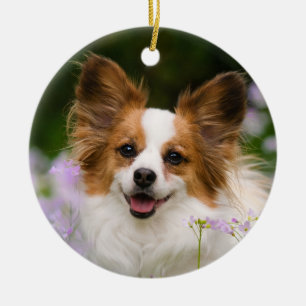 Papillon Dog Romantic Cute Portrait Ceramic Ornament