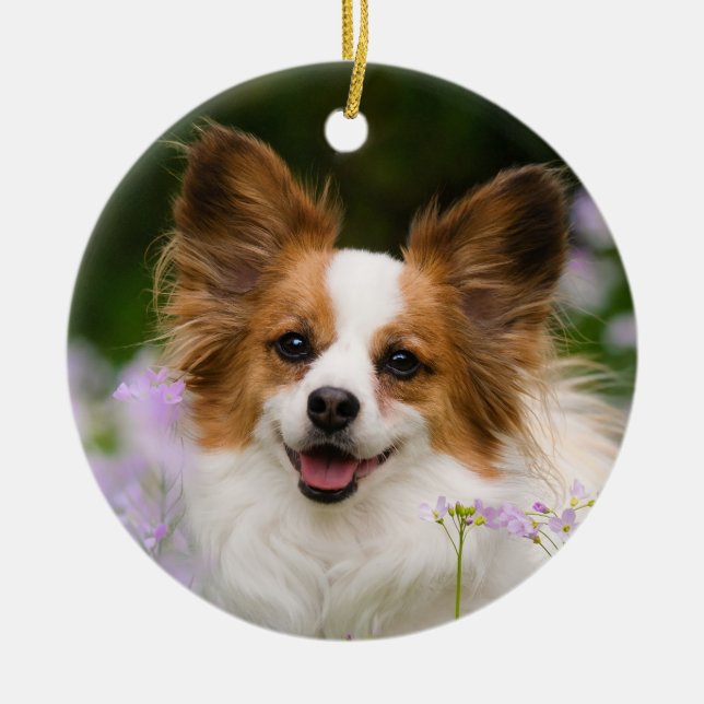 Papillon Dog Romantic Cute Portrait Ceramic Ornament (Front)