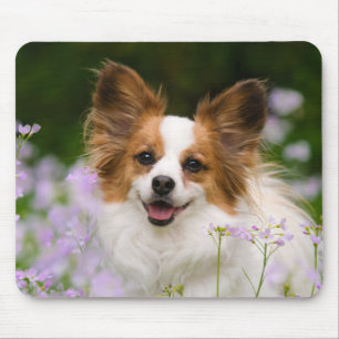 Papillon Dog Romantic Portrait Mouse Pad