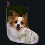 Papillon Dog Romantic Portrait Santa mantle Small Christmas Stocking<br><div class="desc">A White and Red Papillon dog sitting in a meadow surrounded by Cuckooflower. The Papillon is an alert,  friendly and very smart toy breed. This little lovely doggy was photographed by Katho Menden,  this Santa xmas mantle decor is an enchanting special gift idea for doglovers.  http://www.zazzle.com/kathom_photo</div>