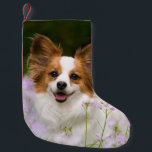 Papillon Dog Romantic Portrait Santa mantle Small Christmas Stocking<br><div class="desc">A White and Red Papillon dog sitting in a meadow surrounded by Cuckooflower. The Papillon is an alert,  friendly and very smart toy breed. This little lovely doggy was photographed by Katho Menden,  this Santa xmas mantle decor is an enchanting special gift idea for doglovers.  http://www.zazzle.com/kathom_photo</div>