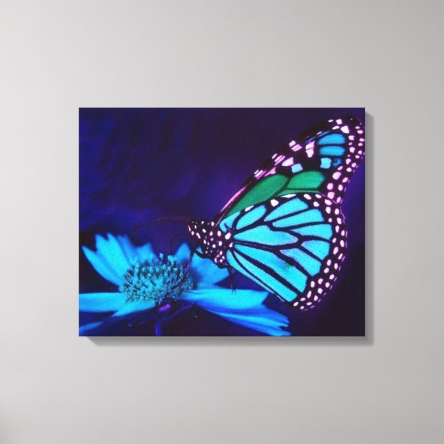 Papillon en toile bleue claire Impression (Recto)
