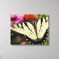 Papillon en toile quadruple