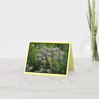 Papillon et Carte pour notes Monarda