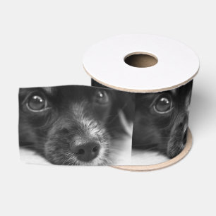 papillon face grosgrain ribbon