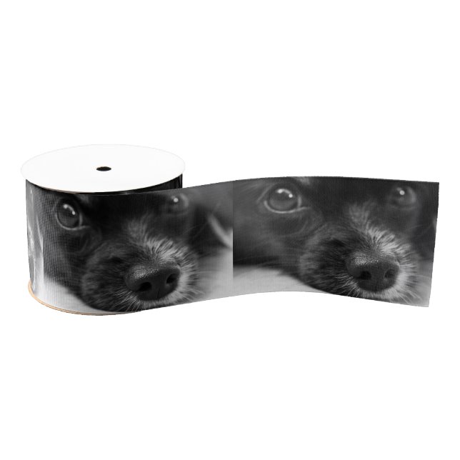 papillon face grosgrain ribbon (Spool)