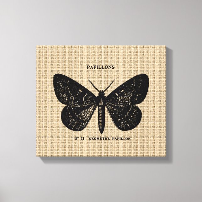 Papillon français vintage sur toile (Recto)