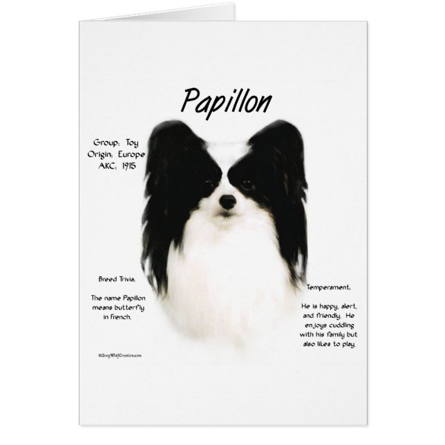 Papillon History Design (Front)