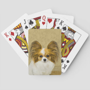 Papillon (Hound Tri) Painting - Original Dog Art Playing Cards