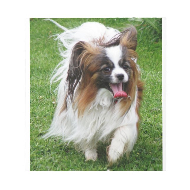 Papillon_in motion notepad (Front)
