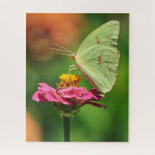 Papillon Jaune sur Fleur Rose Nature Grand Puzzle