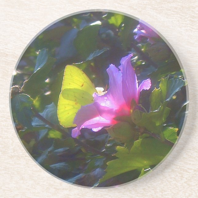 Papillon jaune sur rose rose du Dessous de verre S (Devant)