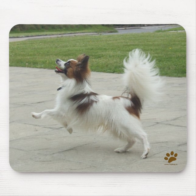 Papillon Jumping Mouse Pad (Front)