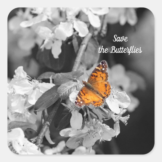 Papillon Lady Américain Sur Stickers Apple Blossom (Devant)