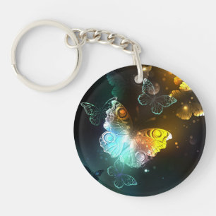 Papillon lumineux et papillons de nuit