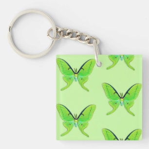 Papillon lune sur fond vert pâle