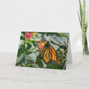 Papillon Monarque - Carte de note blanche