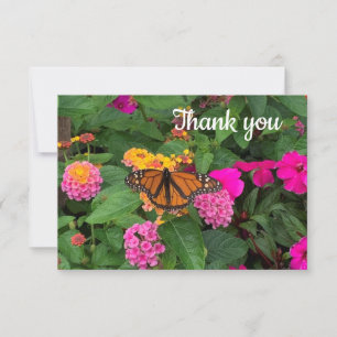 Papillon monarque et Carte de remerciements de fle