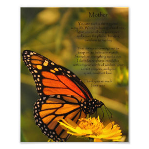Papillon Monarque "Mère Merci" Photo Imprimer
